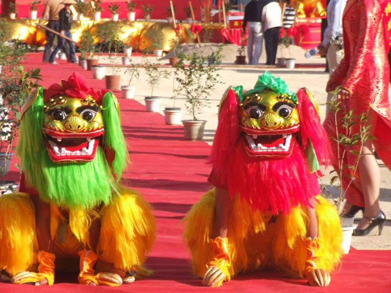 自贡开业庆典 ​舞龙舞狮的现实中精彩表演